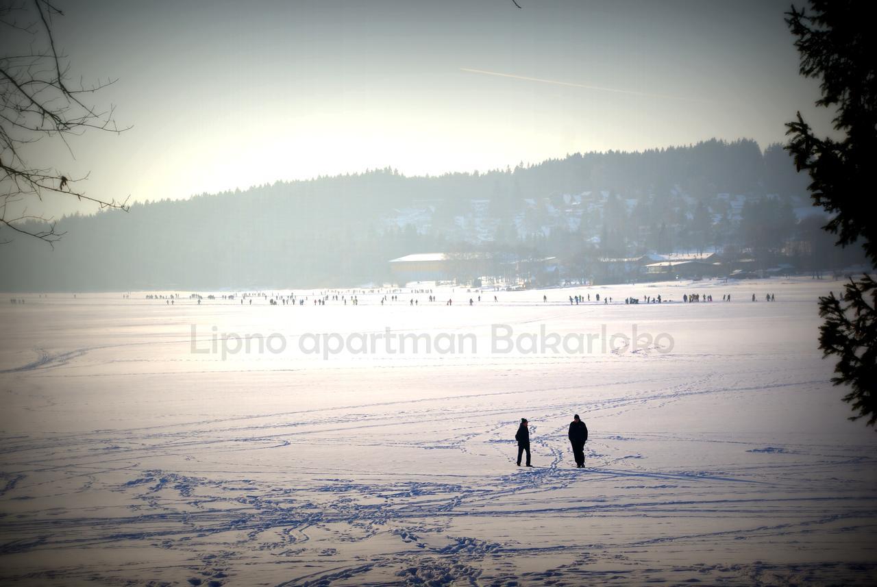 Bakarloko Lipno Apartments Lipno nad Vltavou Exterior photo